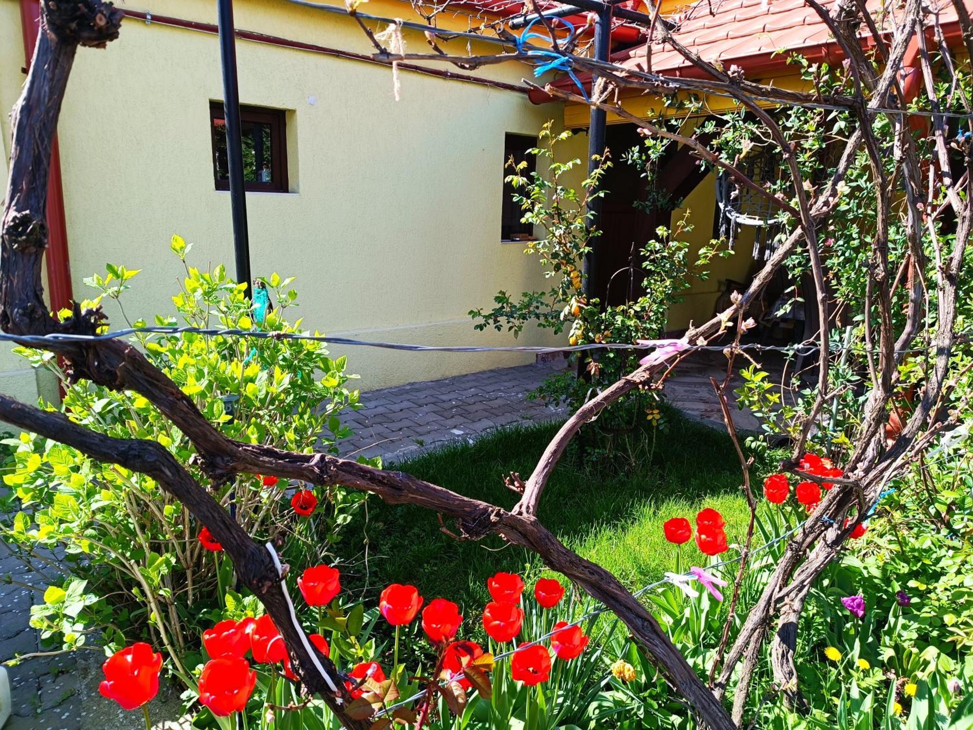 Apartmán Casa Bunicilor Cisnădie Exteriér fotografie